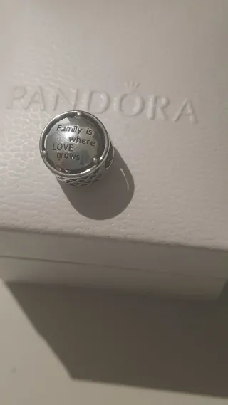 Charm Pandora Family is where LOVE grows