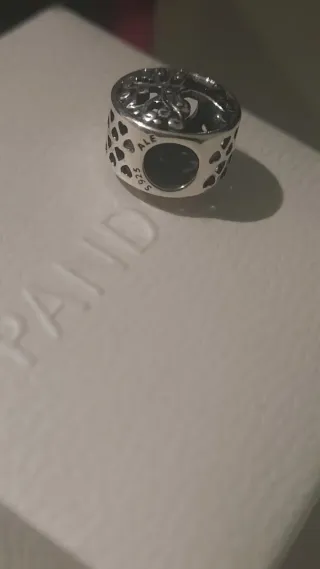 Charm Pandora Family is where LOVE grows