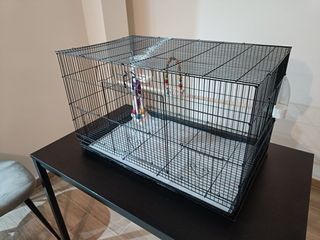 Jaula para ninfas, agapornis, loritos