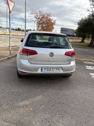 Volkswagen Golf  VII 1.6 tdi 2013