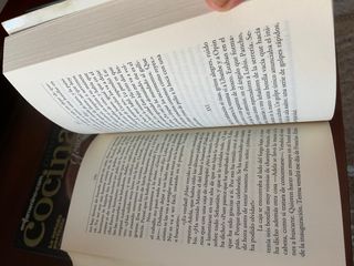 El hijo del acordeonista (Spanish Edition)