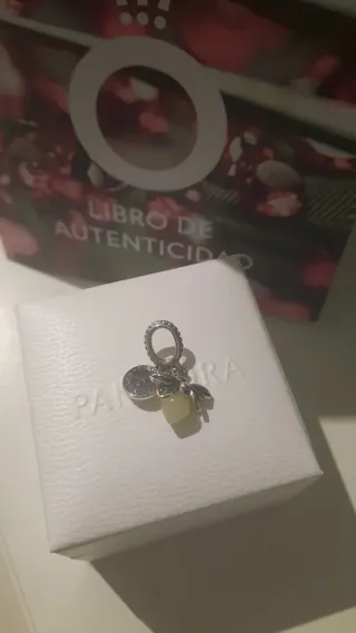 Charm Pandora Mariposa y Círculo