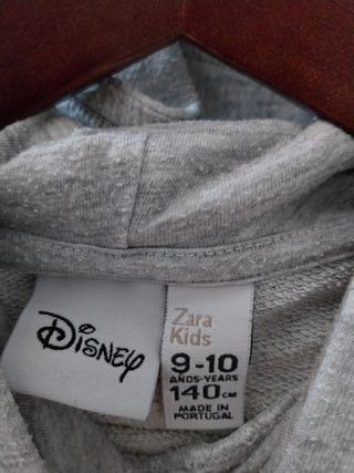 Sweat/Hoodie, Daisy Duck, Zara Kids, Disney