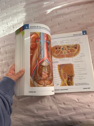 Atlas de anatomia humana [Nov 11, 2004] Netter,...