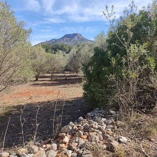 Terreno en venta en Alcalalí