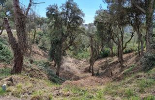 Terreno en venta en Mas Pere-Río de Oro en Calonge
