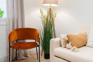 Piso en alquiler en Universidad - Malasaña en Madrid