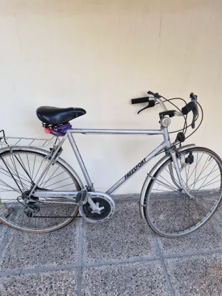 Bicicletta Freeport