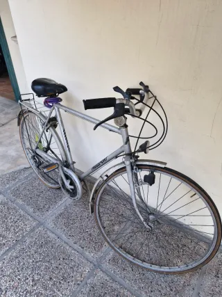 Bicicletta Freeport