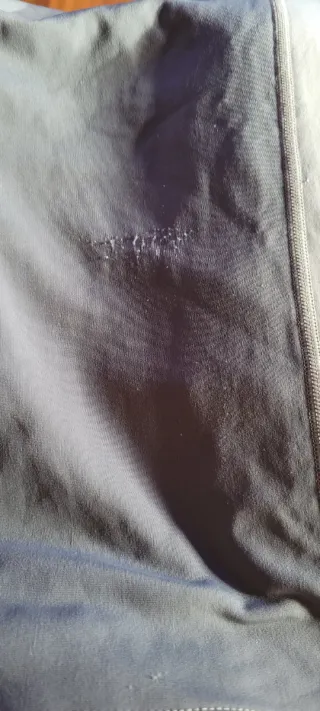 Camiseta térmica Homo Sapiens