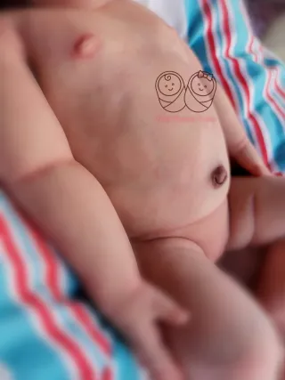 Bebé Reborn Silicona Ane