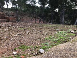 Terreno en venta en Sant Fruitós de Bages