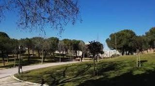 Piso en alquiler en Almenara en Madrid