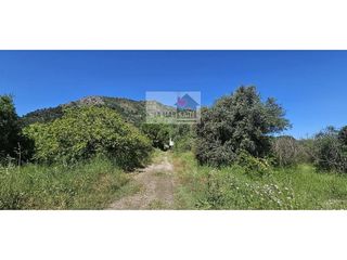 Cortijo en venta en Xàtiva