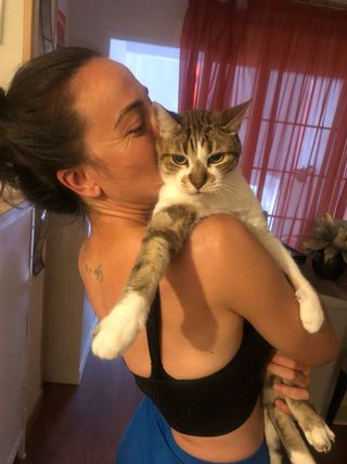 CATSITTER profesional