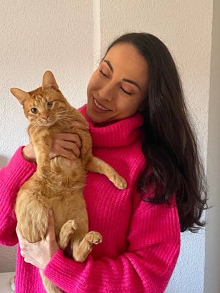 CATSITTER profesional