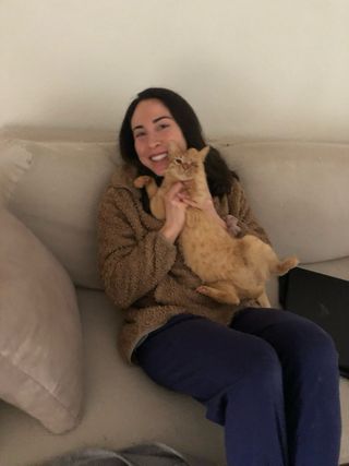 CATSITTER profesional