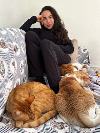 CATSITTER profesional