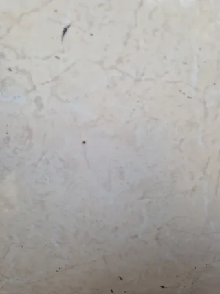 5m2 Azulejos crema efecto mármol gris con rodapies