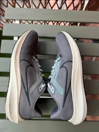 Nike Pegasus 40 Grigio Beige Uomo/Donna