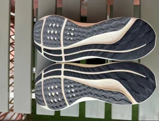 Nike Pegasus 40 Grigio Beige Uomo/Donna