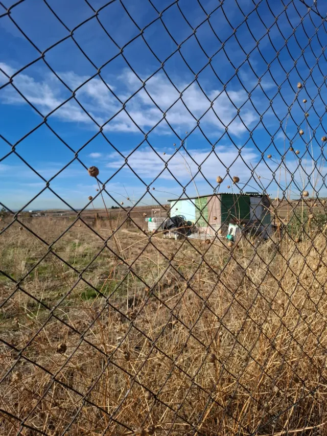 Parcela rústica en villaconejos