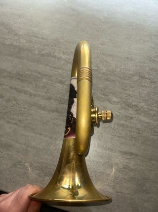 Corneta honsuy gloriosa