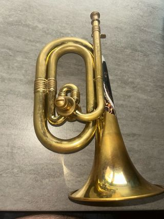 Corneta honsuy gloriosa