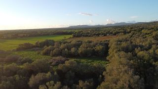 Solar en venta en Campos