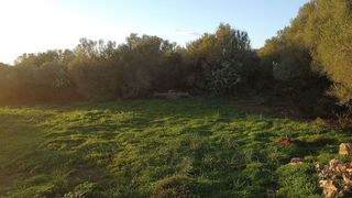 Solar en venta en Campos