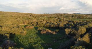 Solar en venta en Campos