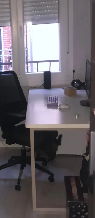 Escritorio de madera blanco