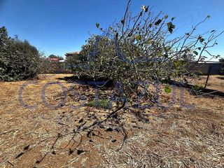 Terreno en venta en La Banda - Campo de Fútbol en Chiclana de la Frontera