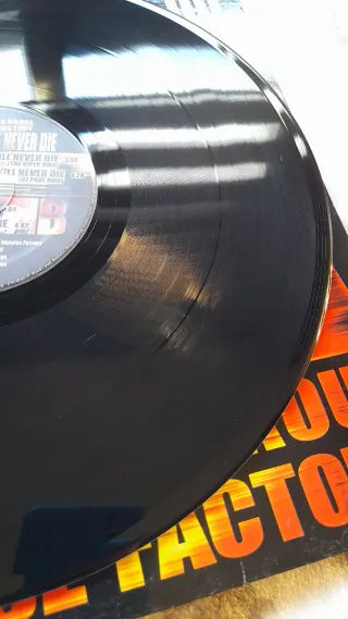 Vinilo Hardcore Will Never Die RMX