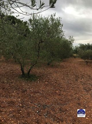 Solar en venta en Matadepera