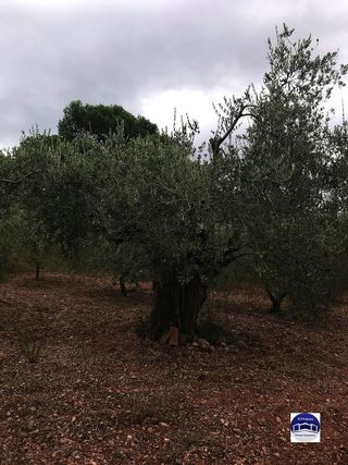 Solar en venta en Matadepera