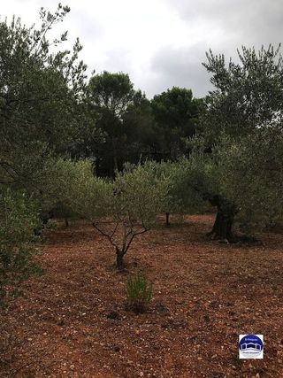 Solar en venta en Matadepera