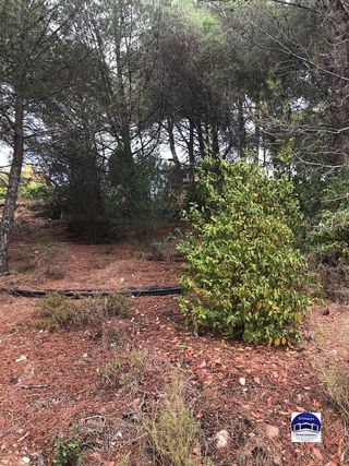 Solar en venta en Matadepera