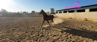 Casa rural en venta en Zona Centro-Corredera en Lorca