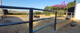 Casa rural en venta en Zona Centro-Corredera en Lorca