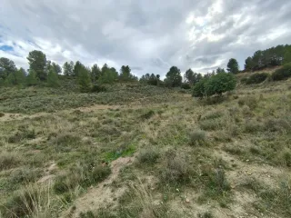 ¡TERRENO IDEAL EN TURÍS: A SOLO 500 M DEL PUEBLO