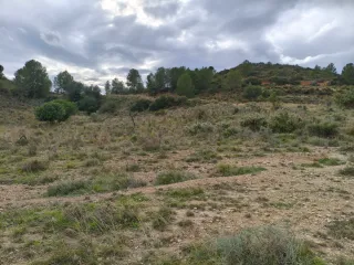 ¡TERRENO IDEAL EN TURÍS: A SOLO 500 M DEL PUEBLO