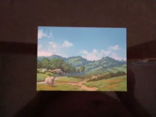 Postal Carcassonne Coleccionable