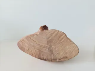 Budda intagliato in legno di faggio