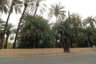 Terreno en venta en Orihuela ciudad en Orihuela