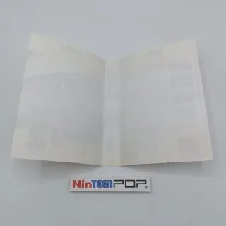 Sonic The Hedgehog 2 Sega Master System