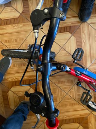 Bicicleta infantil con ruedines