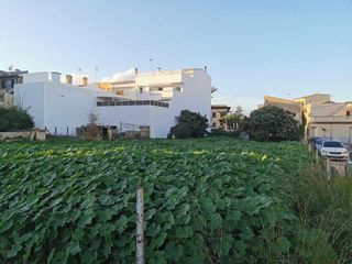 Terreno en venta en Santa Margalida en Santa Margalida