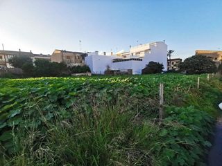 Terreno en venta en Santa Margalida en Santa Margalida