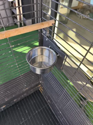 Jaula grande para loro